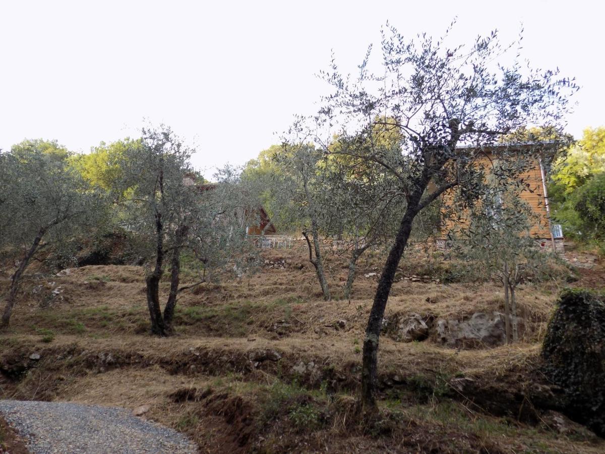 Fattoria Ceragioli Villa Камайоре Екстериор снимка