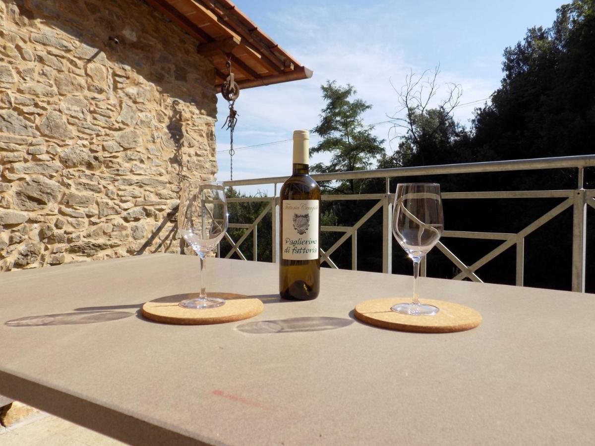 Fattoria Ceragioli Villa Камайоре Екстериор снимка