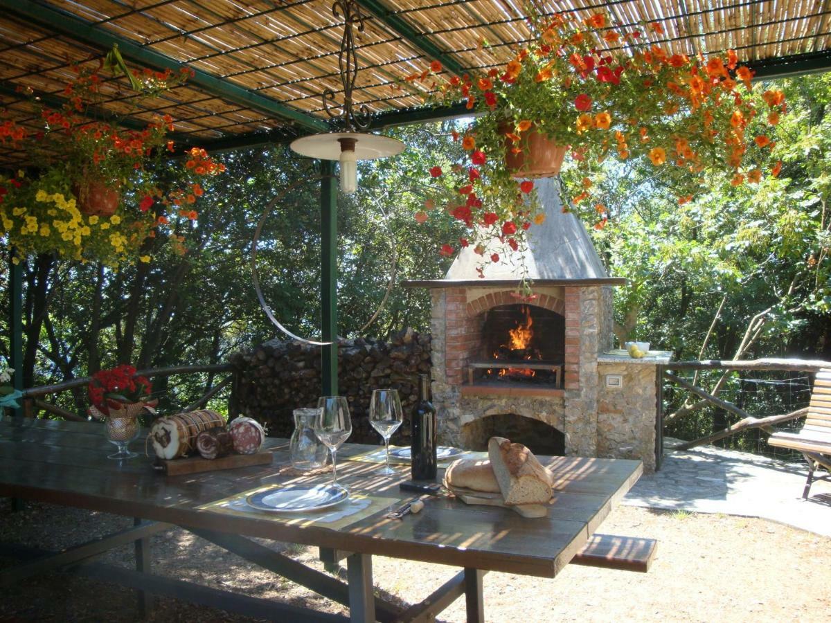 Fattoria Ceragioli Villa Камайоре Екстериор снимка
