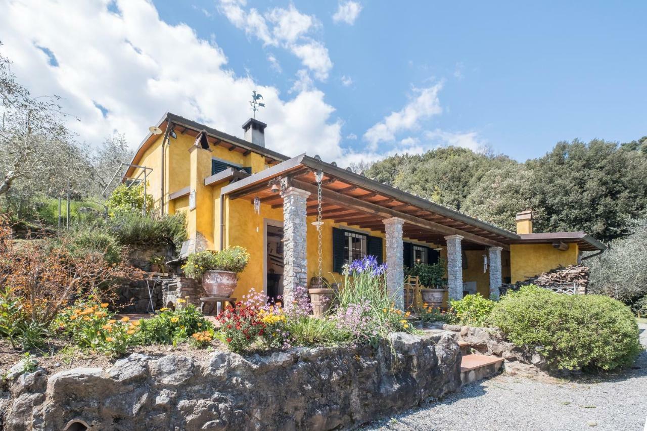 Fattoria Ceragioli Villa Камайоре Екстериор снимка