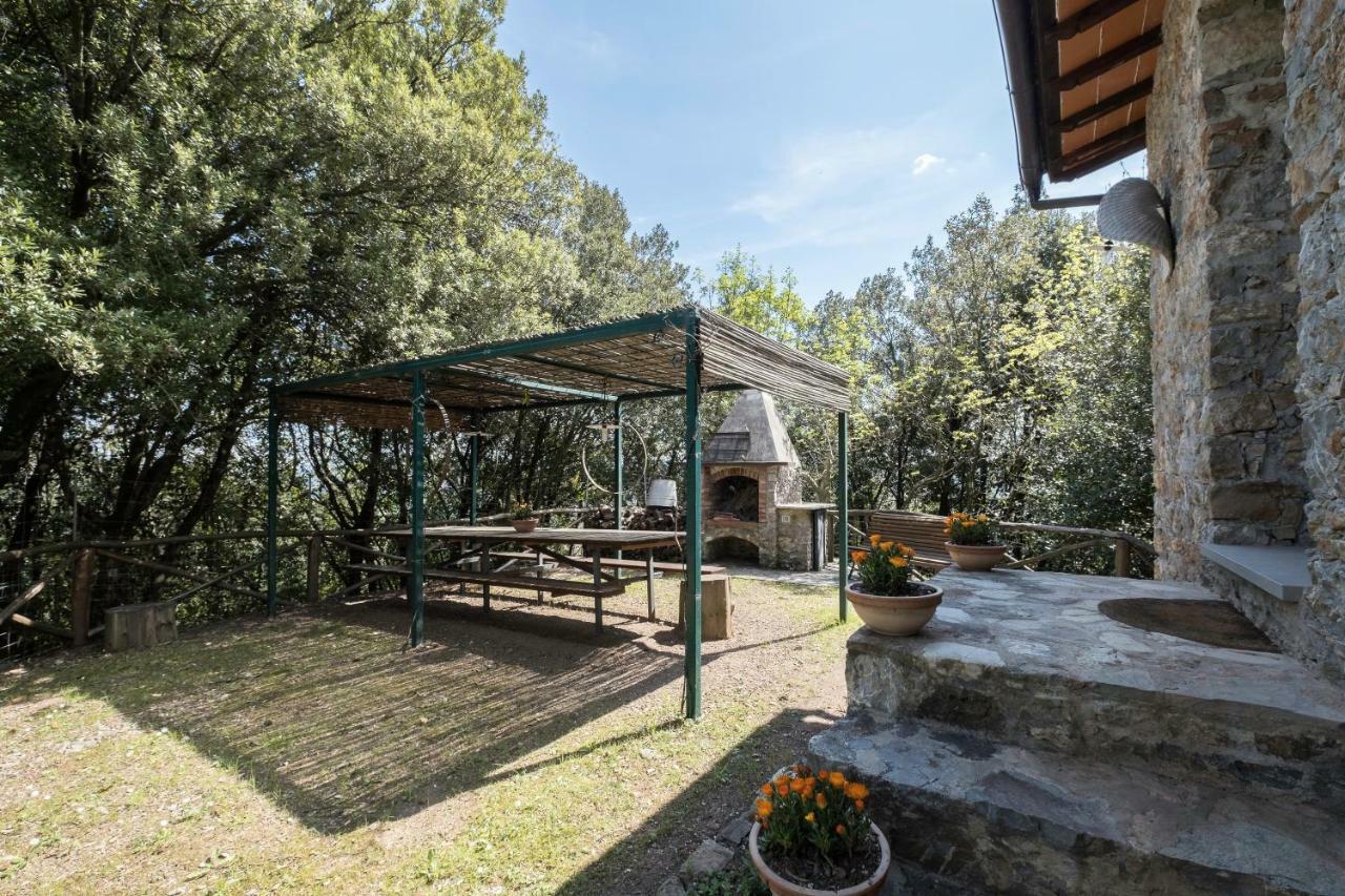 Fattoria Ceragioli Villa Камайоре Екстериор снимка