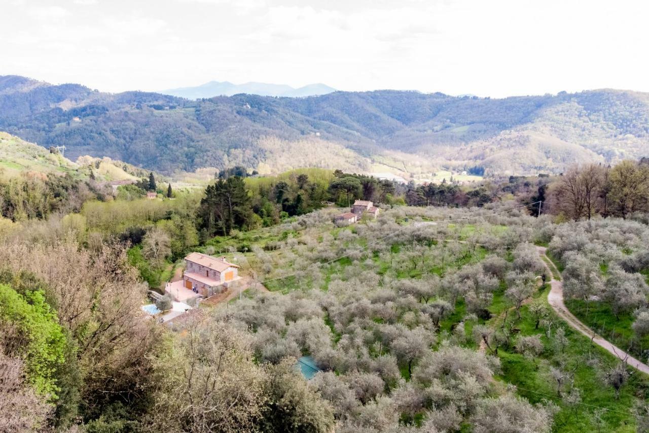 Fattoria Ceragioli Villa Камайоре Екстериор снимка